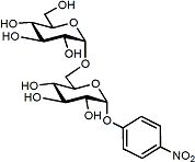 Sussex Research Related Products - α-Isomaltoside: 4-Nitrophenyl 6-O-α-D-Glucopyranosyl-α-D-Glucopyranoside