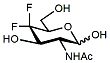 Sussex Research Related Products - 4,4-Difluoro-N-Acetylgalactosamine